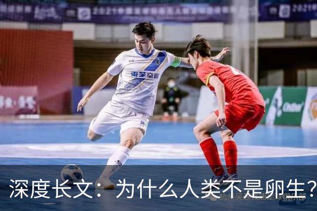 深度长文：为什么人类不是卵生？说出来你可能不信，这事3亿年前就定好了