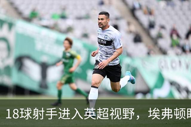 18球射手进入英超视野，埃弗顿盯上26岁前锋